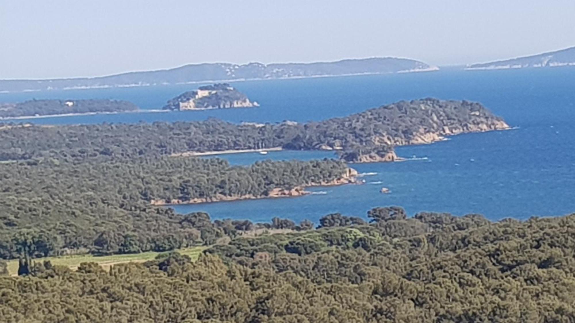 Appartement Rez De Jardin T3 Recent Et Calme Au Nouvelles Terres A La Londe Les Maures Extérieur photo