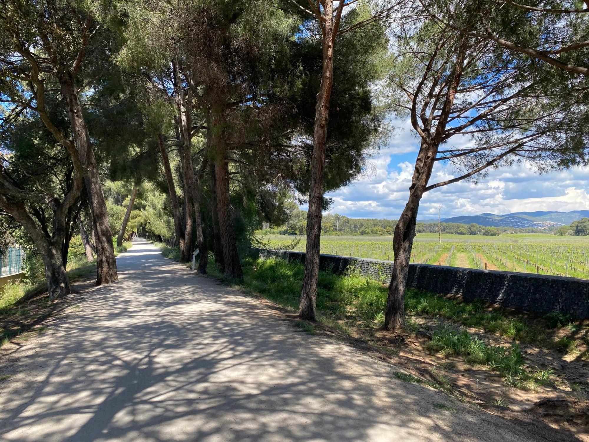 Appartement Rez De Jardin T3 Recent Et Calme Au Nouvelles Terres A La Londe Les Maures Extérieur photo