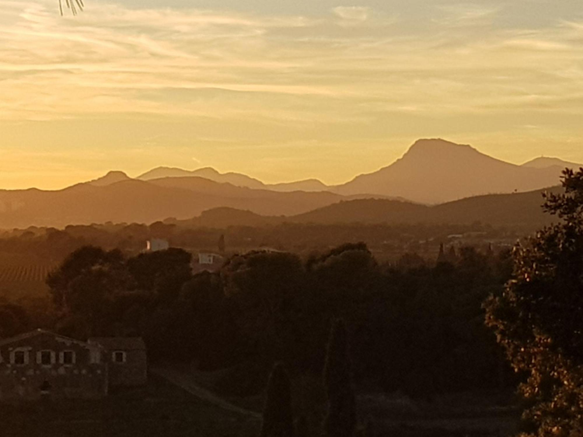 Appartement Rez De Jardin T3 Recent Et Calme Au Nouvelles Terres A La Londe Les Maures Extérieur photo
