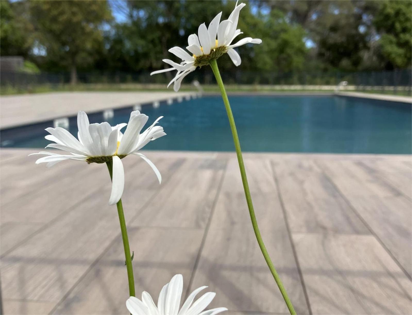 Appartement Rez De Jardin T3 Recent Et Calme Au Nouvelles Terres A La Londe Les Maures Extérieur photo